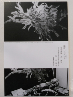 DSCN7233.JPG